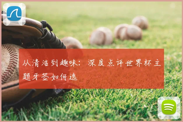 从清洁到趣味:深度点评世界杯主题牙签如何选