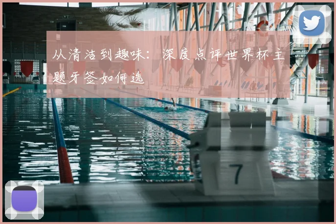 从清洁到趣味:深度点评世界杯主题牙签如何选