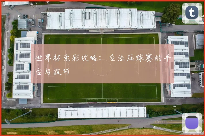 世界杯竞彩攻略：合法压球赛的平台与技巧