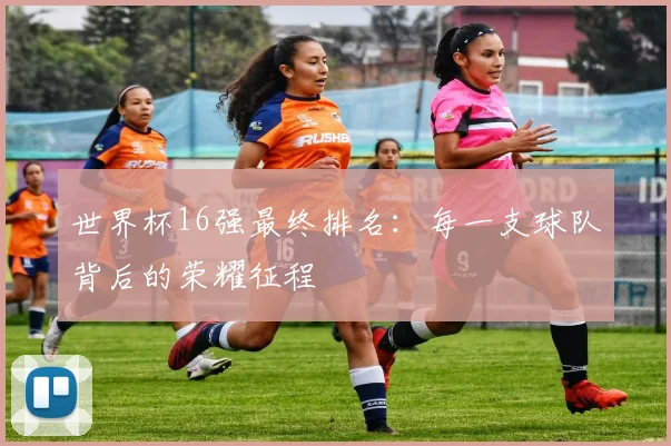 世界杯16强最终排名：每一支球队背后的荣耀征程