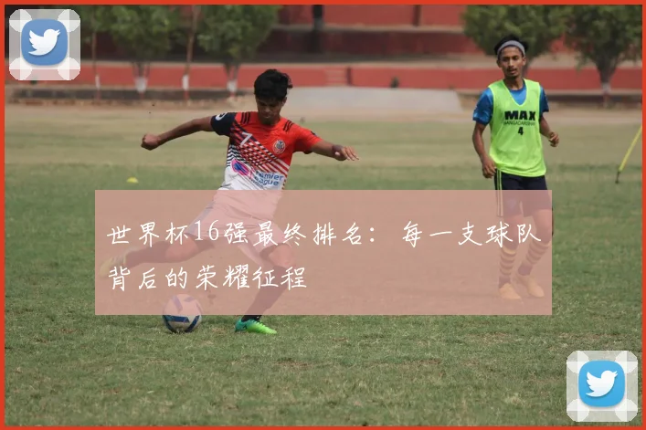世界杯16强最终排名：每一支球队背后的荣耀征程