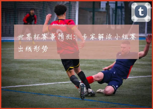 世界杯赛事预测：专家解读小组赛出线形势